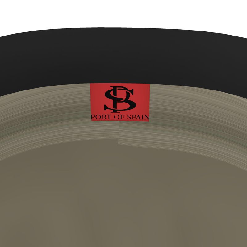 Midi Length Silk Skirt